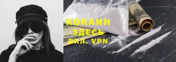 спайс Гусев