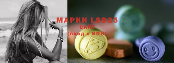 сатива Инта
