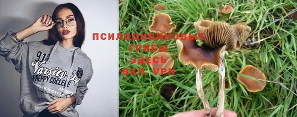 спайс Гусев