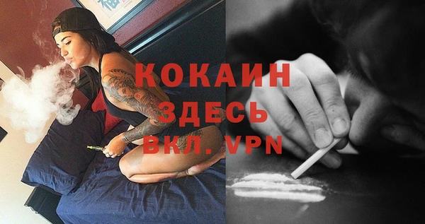 спайс Гусев