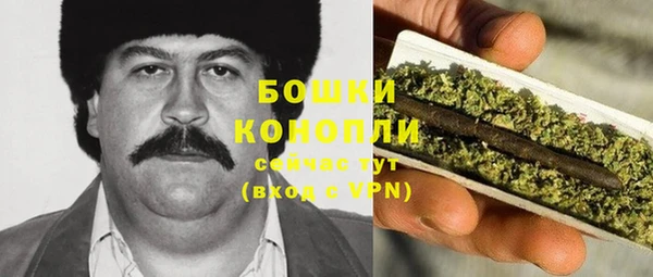 спайс Гусев