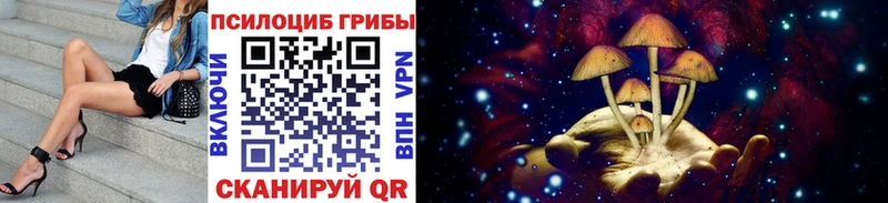 наркотики  Дорогобуж  Псилоцибиновые грибы Psilocybe 